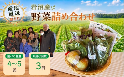 【定期便3ヶ月】宮城県 岩沼産 産地直送 朝どれ 新鮮野菜 4～5種類 詰め合わせセット