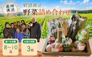 【定期便3ヶ月】宮城県 岩沼産 産地直送 朝どれ 新鮮野菜 8～10種類 詰め合わせセット