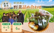 【定期便6ヶ月】宮城県 岩沼産 産地直送 朝どれ 新鮮野菜 4～5種類 詰め合わせセット
