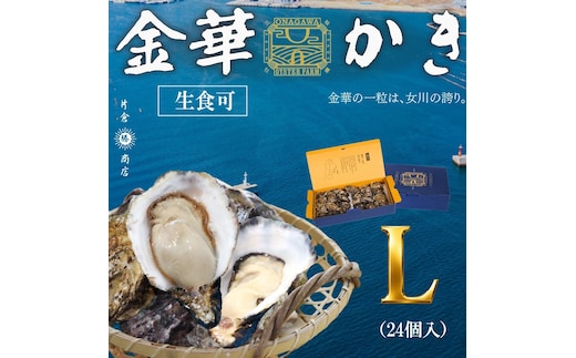 金華かき 女川オイスターファーム ラージサイズ 生食可 