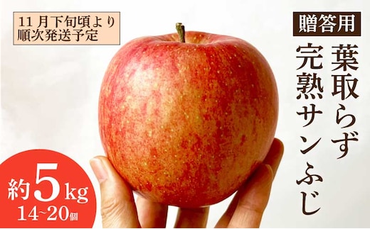 【11月下旬頃より順次発送予定】 贈答用 完熟 葉取らず サンふじ 5kg （14～20個） 良品 りんご