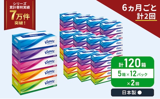 定期便 ティッシュ クリネックス ティシュー 1ケース (5箱入×12パック)《6ヶ月ごと計2回》 ティッシュペーパー セット 柔らかい 節約 日用品 日用雑貨 備蓄 備蓄品 備蓄用 防災 災害 ボックスティッシュ ペーパー 宮城 岩沼市