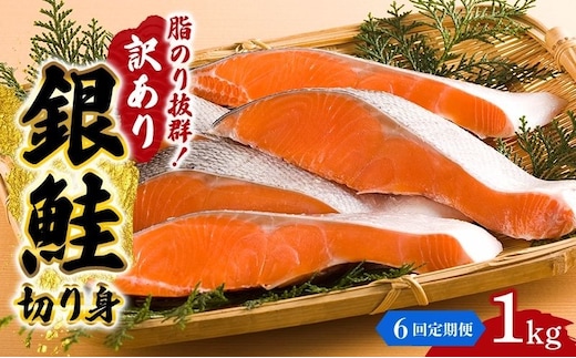 【6か月連続定期便】訳あり 銀鮭 切り身 1kg セット 詰め合わせ 銀シャケ 切身 鮭 サケ シャケ 鮭の切り身 規格外 不揃い 魚 魚介 魚介類 海鮮 海鮮セット 魚の切り身 鮭切身 冷凍 ご飯のお供 ごはんのお供 家庭用 訳アリ 宮城 宮城県 岩沼市