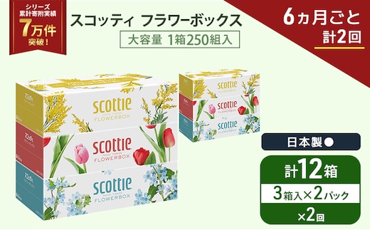 定期便 ティッシュ スコッティ フラワーボックス 3箱 × 2 パック《 6ヶ月ごと計 2回 》ティッシュセット