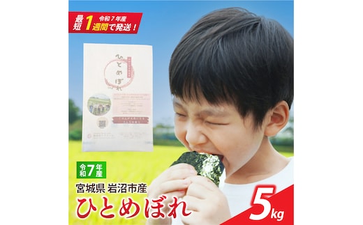 【 令和7年産 】 宮城県産 ひとめぼれ 5kg 単品 一等米 すぐ 届く 米 精米 東北米 ふるさと納税 米 お米 白米 コメ ライス ご飯 米5kg 5キロ ごはん 美味しい 国産 宮城県 岩沼市 kome okome お取り寄せ 産地直送 東北 SD001
