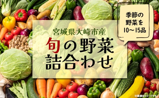 《宮城県大崎市産》旬の野菜詰合せセット