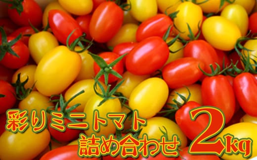 彩りミニトマト詰め合わせ