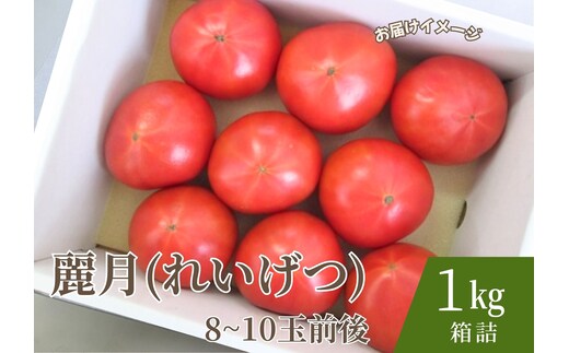 【糖度7度以上】麗月トマト 1kg｜冬期育ちの濃厚な甘み・産地直送の完熟トマト