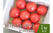【糖度7度以上】麗月トマト 1kg｜冬期育ちの濃厚な甘み・産地直送の完熟トマト