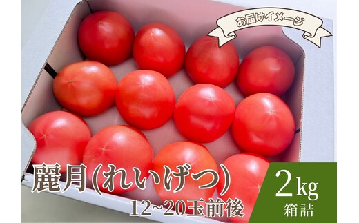 【糖度7度以上】麗月トマト 2kg｜冬期育ちの濃厚な甘み・産地直送の完熟トマト
