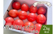 【糖度7度以上】麗月トマト 2kg｜冬期育ちの濃厚な甘み・産地直送の完熟トマト