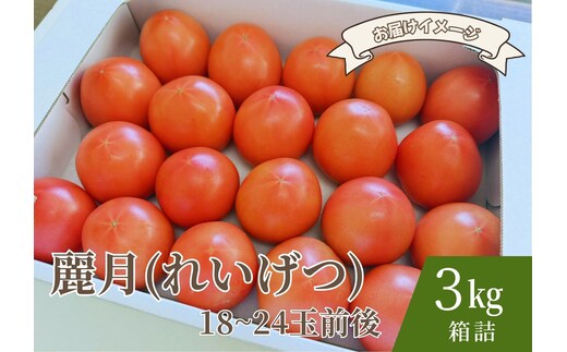 【糖度7度以上】麗月トマト 3kg｜冬期育ちの濃厚な甘み・産地直送の完熟トマト