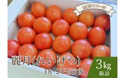 【糖度7度以上】麗月トマト 3kg｜冬期育ちの濃厚な甘み・産地直送の完熟トマト