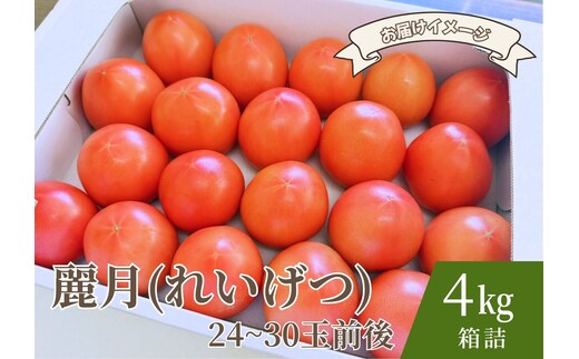 【糖度7度以上】麗月トマト 4kg｜冬期育ちの濃厚な甘み・産地直送の完熟トマト