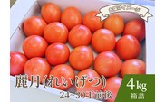 【糖度7度以上】麗月トマト 4kg｜冬期育ちの濃厚な甘み・産地直送の完熟トマト