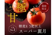 【糖度8.5度以上】スーパー麗月トマト 3kg｜冬期育ちの濃厚な甘み・産地直送の完熟トマト