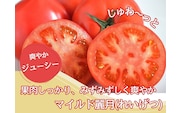 【やさしい甘さ】マイルド麗月トマト 1kg｜まろやか風味・産地直送の完熟トマト