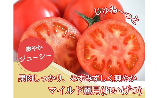 【やさしい甘さ】マイルド麗月トマト 2kg｜まろやか風味・産地直送の完熟トマト