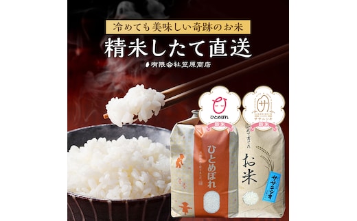 宮城県大崎市 世界農業遺産の米どころ直送 ひとめぼれ・ササニシキセット 各5kg