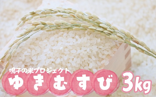 鳴子の米プロジェクト ゆきむすび3kg【2025年産】｜宮城県大崎市鳴子温泉産米