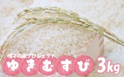 鳴子の米プロジェクト ゆきむすび3kg【2025年産】｜宮城県大崎市鳴子温泉産米