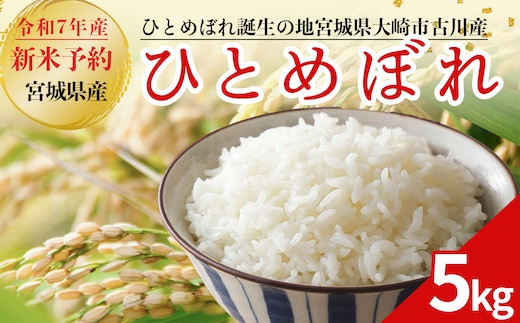 令和7年産 新米 大崎市古川産ひとめぼれ 5kg｜宮城県産ブランド米
