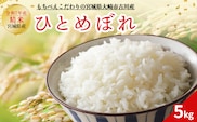 令和7年産 新米 大崎市古川産ひとめぼれ 5kg｜宮城県産ブランド米