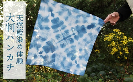 天然藍染め体験～大判ハンカチ
