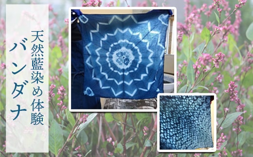 天然藍染め体験～バンダナ