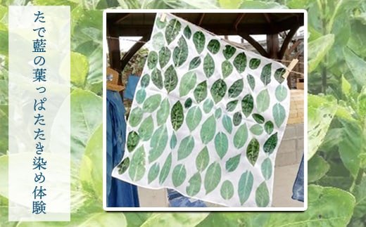 たで藍の葉っぱたたき染め体験