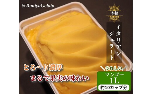 [＆とみやジェラート] マンゴー 1000ml｜アイス スイーツ 仙台 富谷 とみやど 牧場 デザート イタリアンジェラート [0202]