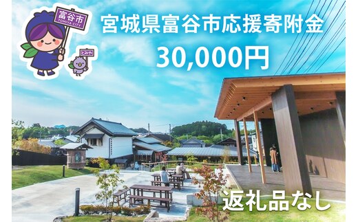 [返礼品なし]「宮城県富谷市へのご寄附 3万円」富谷市の発展のために活用させていただきます！｜東北 富谷 とみや 返礼品無し 寄附 寄付 [0208]