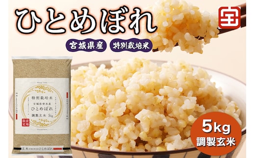 令和7年産 特別栽培米 宮城県産 ひとめぼれ 調製玄米 5kg｜2025年 宮城産 米 玄米 お米 米 こめ コメ 特栽米 ひとめぼれ 宮城米 ふるさと納税 新米 [0349]