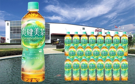 爽健美茶 600mlPET×24本 【04301-0027】