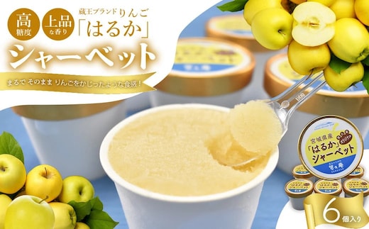 りんご「はるか」シャーベット 【04301-0202】