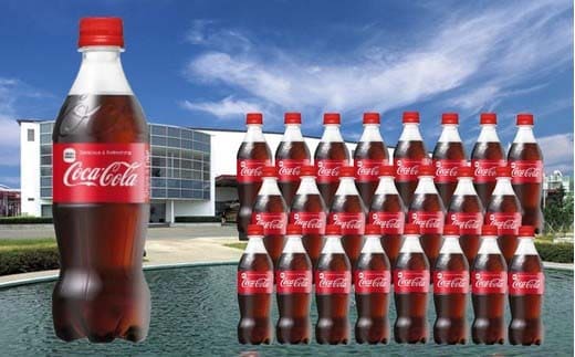 【5か月連続お届け】コカ・コーラ 500ml PET×24本 【04301-0033】