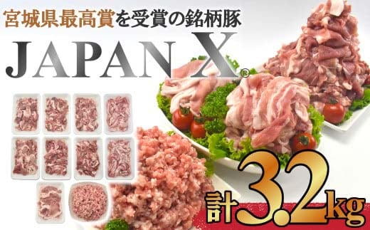 ＜蔵王町産＞JAPAN X 豚肉バラエティセット 3.2kg 豚肉 豚 ブランド豚 小分け 豚小間 豚こま ひき肉 切落し 豚バラ 豚ロース ジャパンエックス 蔵王 人気 【04301-0366】