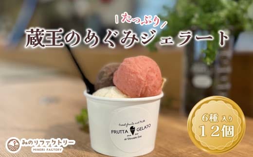 蔵王のめぐみたっぷりジェラート １２個 ジェラート フルーツ デザート 贈り物 蔵王【04301-0503】