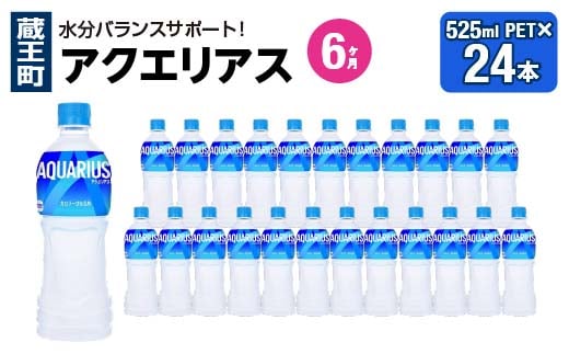 【6か月連続お届け】アクエリアス 500ml PET×24本 【04301-0706】