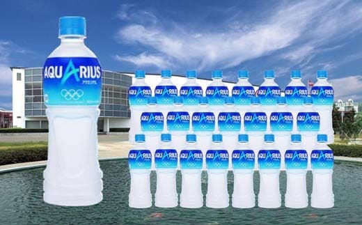 【5か月連続お届け】アクエリアス 500ml PET×24本 【04301-0041】