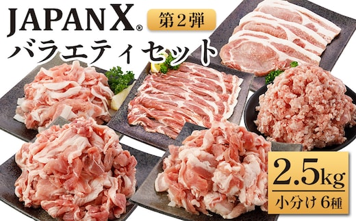 JAPAN X バラエティセット 第2弾 6種 2.5㎏ 豚肉 豚 ブランド豚 小分け バラエティセット 豚こま 豚バラ 豚ロース ひき肉 ジャパンエックス 蔵王 人気 【04301-0888】