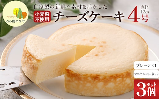 【選べる組合せ】蔵王のチーズケーキ専門店 選べるチーズケーキ＜マスカルポーネ2個・プレーンチーズケーキ1個＞ 【04301-1038-2】