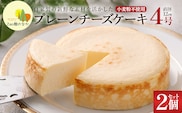【選べる組合せ】蔵王のチーズケーキ専門店 選べるチーズケーキ＜プレーンチーズケーキ2個＞　【04301-1033-2】