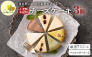 【選べる組合せ】蔵王のチーズケーキ専門店 選べるチーズケーキ＜マスカルポーネ2個・厳選7ピースパック1個＞　【04301-1038-1】