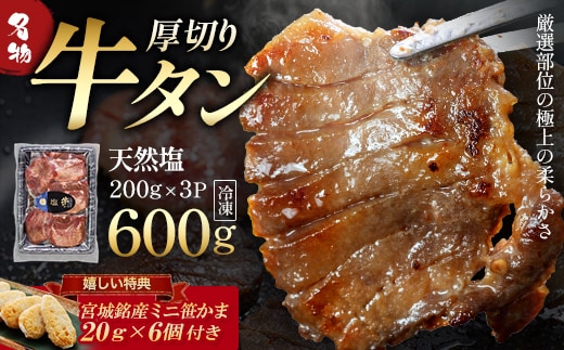 蔵王福膳・柔らか牛タン(塩) 600g・笹かま付き 牛たん 牛タン 仙台名物 厚切り 蔵王 人気【04301-0566】