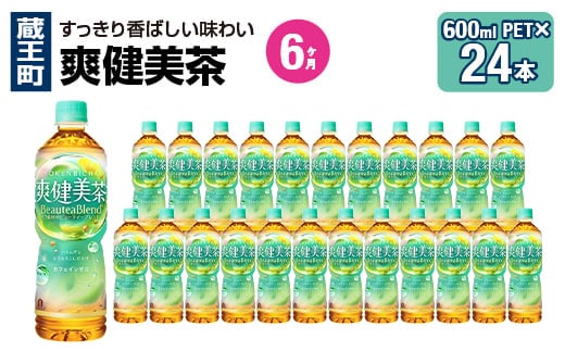 【6か月連続お届け】爽健美茶 600ml PET×24本 【04301-0697】
