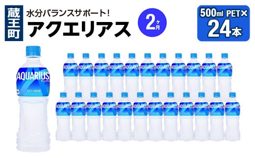 【2か月連続お届け】アクエリアス 500ml PET×24本 【04301-0705】
