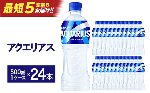 【最短5営業日着！】アクエリアス 500mlPET×24本 【04301-0039】