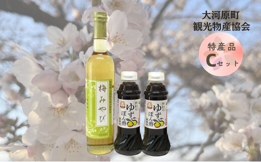 大河原町観光物産協会 特産品Cセット ドレッシング 調味料 ポン酢 柚子 梅 シロップ 果実 詰め合わせ 