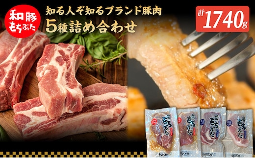 もちぶた 加工品 5種 詰め合わせ セット モモ 肩ロース 味噌漬け 塩糀漬け120g 3パック スペアリブ 300g 和豚 もち豚 豚肉 ポーク お肉 肉 豚 ぶた ブタ ロース もも肉 精肉 加工肉 アウトドア スペシャルキャンペーン 